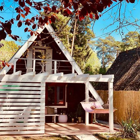 Nadi'S Holiday Home - Heart Of Woods, Szentendre Island Szigetmonostor Bagian luar foto