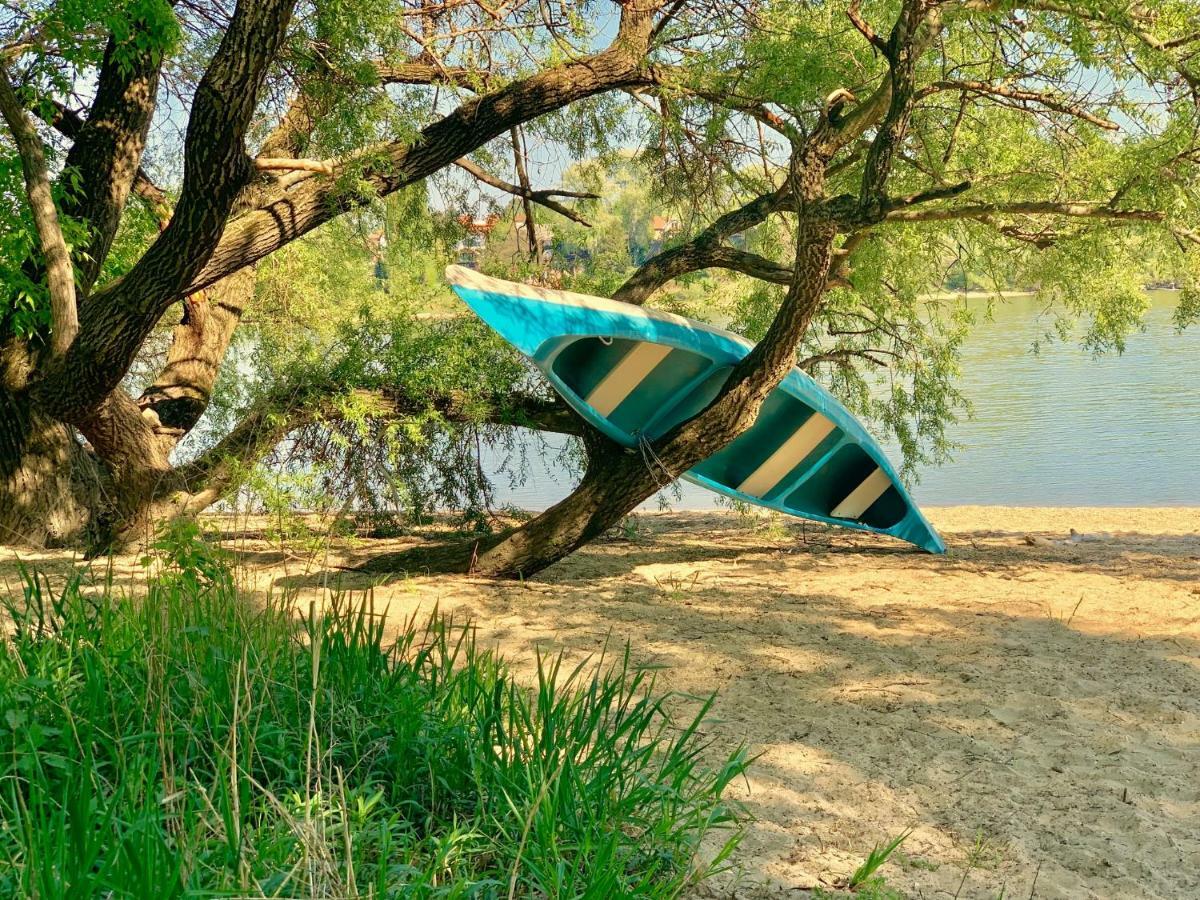 Nadi'S Holiday Home - Heart Of Woods, Szentendre Island Szigetmonostor Bagian luar foto