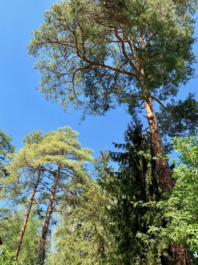 Nadi'S Holiday Home - Heart Of Woods, Szentendre Island Szigetmonostor Bagian luar foto
