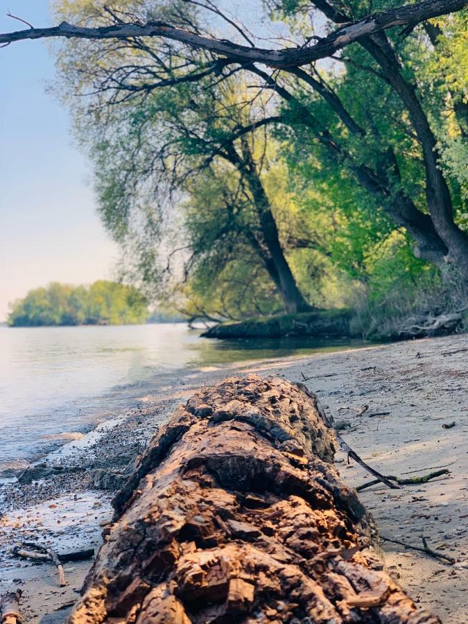 Nadi'S Holiday Home - Heart Of Woods, Szentendre Island Szigetmonostor Bagian luar foto