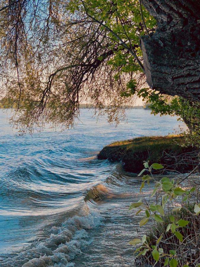 Nadi'S Holiday Home - Heart Of Woods, Szentendre Island Szigetmonostor Bagian luar foto